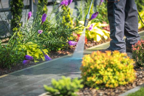 Best Post-Construction Pressure Washing  in Ladonia, AL