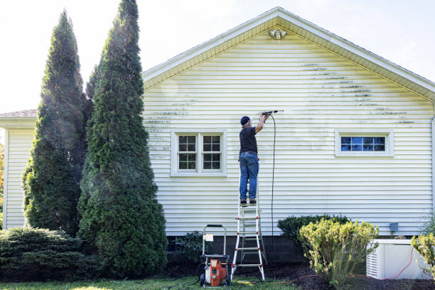 Boat and Dock Cleaning in Ladonia, AL